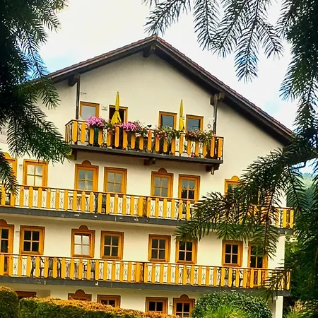 Arber-hotel Am Rothbach Otel