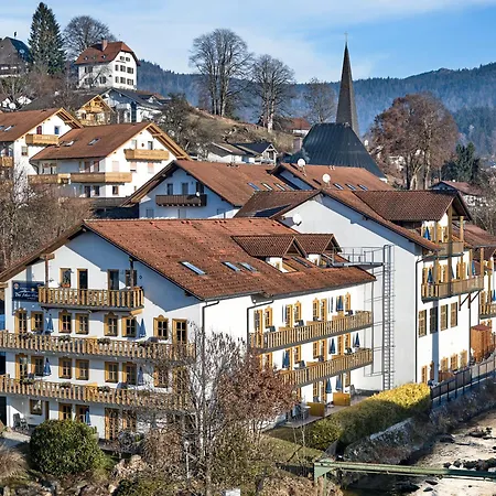 Arber-hotel Am Rothbach 3*