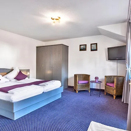 Otel Arber-hotel Am Rothbach Bodenmais