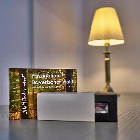 Arber-hotel Am Rothbach 3* Bodenmais