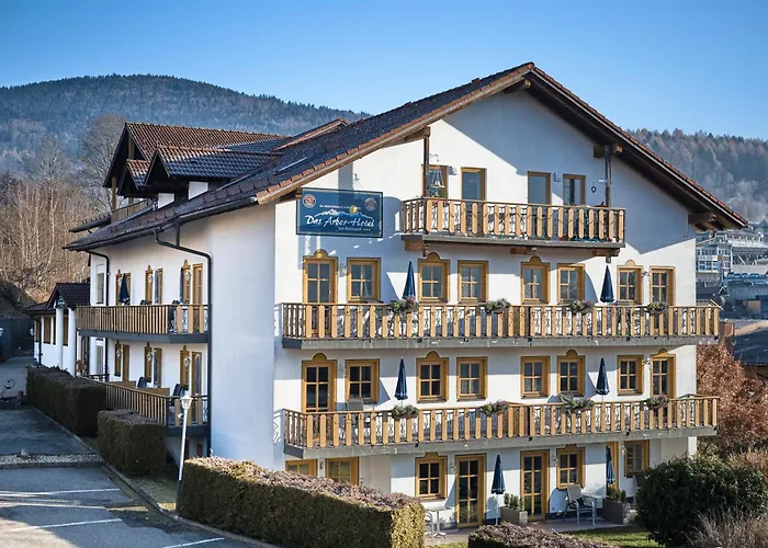 Arber-hotel Am Rothbach 호텔 보덴마이스